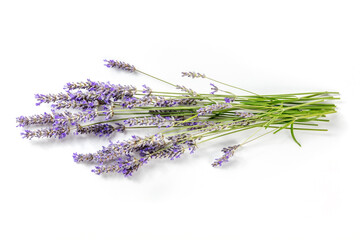 Lavender flower bouquet, overhead shot on a white background