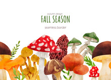 Forest Mushrooms, Hand Drawn Vector Watercolor Illustration