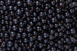 Currant background. Fresh juicy berries. Delicious and healthy food.
