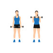 Woman doing dumbbell bicep curls. Flat vector illustration isolated on different layers. Workout character