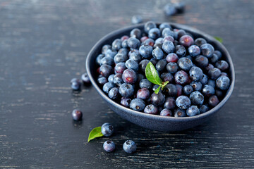 Poster - fresh blueberries on dark wooden surface