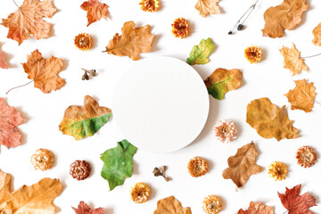 Wall Mural - Autumn composition with empty round frame, dry oak and maple leaves, plants and flowers on a white background. Autumn, fall, thanksgiving day concept. Flat lay. Copy space.