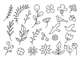 Wall Mural - Line art floral illustrations. Flowers, birds, berries. Doodles vector set.