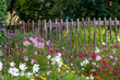Bunte Blumenwiese vor einem Holzzaun, Bauerngarten, Bienenweide