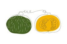 A Green Pumpkin With Yellow Spots And A Half Of A Yellow Pumpkin Are Drawn In One Solid Line On A White Background Lineart
