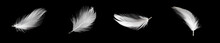 White Duck Feathers Isolated On Black Background