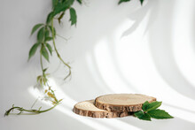 Natural Round Wooden Stand For Presentation And Exhibitions On White Background With Shadow. Mock Up 3d Empty Podium With Green Leaves For Organic Cosmetic Product. Copy Space.
