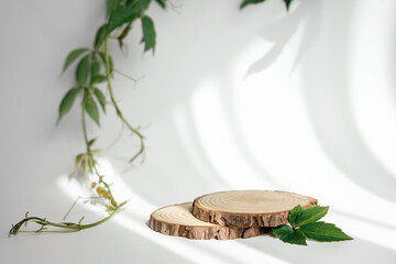 Natural round wooden stand for presentation and exhibitions on white background with shadow. Mock up 3d empty podium with green leaves for organic cosmetic product. Copy space.