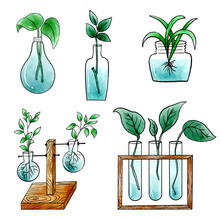 Water Propagation Station Watercolor Isolated Elements Set