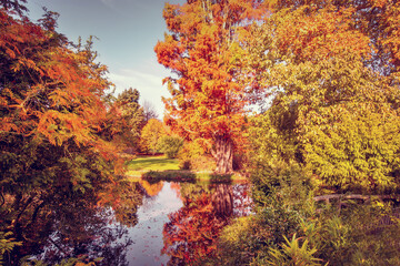 Wall Mural - Fall foliage in France. Autumnal colors landscape, reflections in a pond