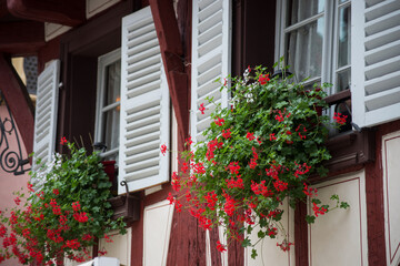 Wall Mural - closeup of red geraniums on medieval building facade in the street