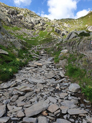 Wall Mural - Rocky path into the mountain