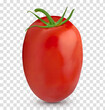 San Marzano, plum or Roma tomato isolated on isolated background including clipping path.	
