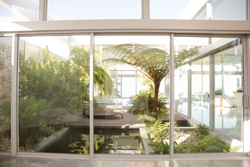 Plants growing in modern courtyard