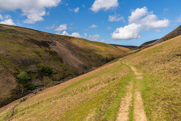 Wall Mural - Walking at the Gunnerside Gill towards the Bunton Mine, North Yorkshire, England, UK