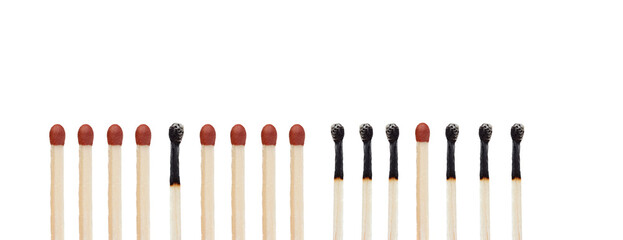 Burnt and unburned matchsticks