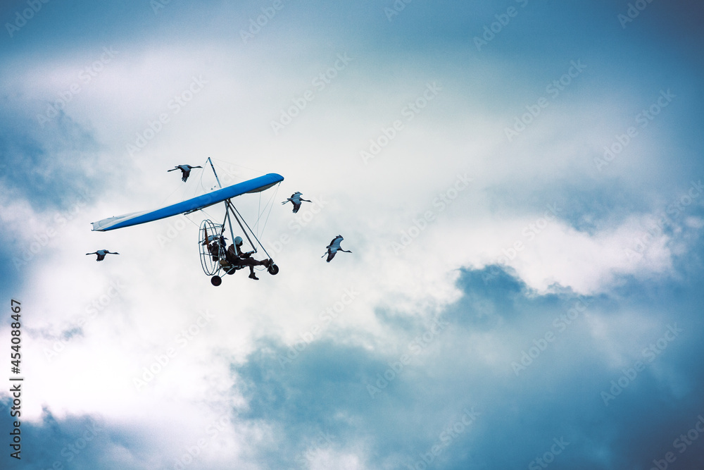 Microlight flying among the cranes Stock Photo | Adobe Stock