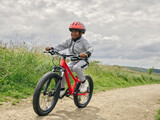 Fototapeta  - Boy riding bicycle in countryside