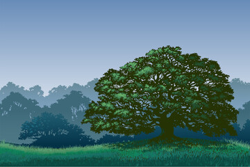 Oak forest Landscape Vector. Silhouettes of nature illustration use for background, etc.