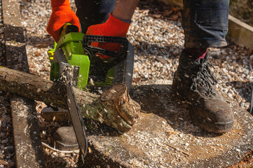 Lumberjack working with a chainsaw