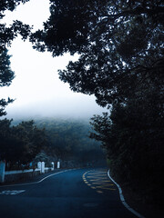 Sticker - Scenic view of an empty asphalt road on a foggy background