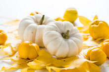 White Pumpkin And Autumn Fruits Decoration For Thanksgiving