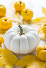 White Pumpkin And Autumn Fruits Decoration For Thanksgiving