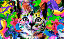 Cat Head With Eyeglasses And Creative Abstract Elements On Colorful Background