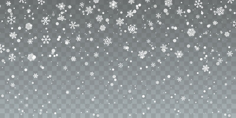 Wall Mural - christmas snow. falling snowflakes on transparent background. snowfall. vector illustration