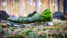 Rotting Shoe In Forest Overgrown With Moss And Forgotten