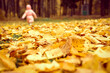 autumn foliage of an elm tree on the ground close up and against the background of a blurry running walking kid girl in an fall park