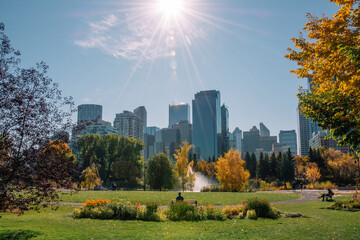 Sunlit park in the city of Calgary