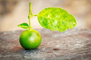 Wall Mural - Lime