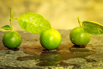 Wall Mural - Lime