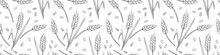 Wheat Spikelets And Grains, Vector Seamless Pattern. Outline Drawn In Sketch Style Isolated. Design Of Print, Wrapping Paper, Packaging On Theme Of Bakery Products, Flour, Harvest, Thanksgiving.