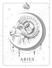 Modern Magic Witchcraft Card With Astrology Aries Zodiac Sign. Realistic Hand Drawing Ram Or Mouflon Head