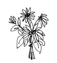 Hand Drawn Simple Floral Vector Drawing In Black Outline. Cute Beautiful Autumn Summer Bouquet Sunflowers. For Festive Seasonal Design, Postcards, Invitations.