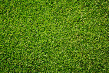 Canvas Print - artificial green grass texture for background