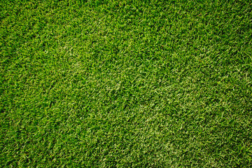 Canvas Print - artificial green grass texture for background