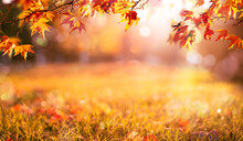 Orange Fall  Leaves Autumn Background