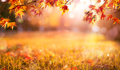 Wall Mural - orange fall  leaves autumn background