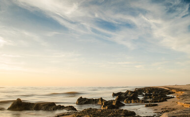 Wall Mural - Baltic Sea in the evening and seaweed.