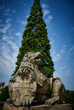 Fototapeta Lawenda - Lion statue