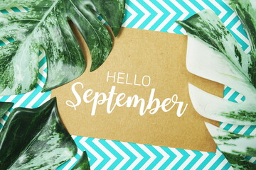 Wall Mural - hello september typography text on paper card with monstera leaves