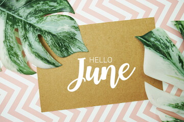 Wall Mural - hello june typography text on paper card with monstera leaves
