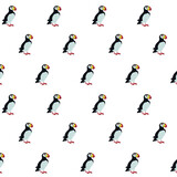 Fototapeta  - seamless pattern with birds. Cute cartoon colorful characters. Natural vector background