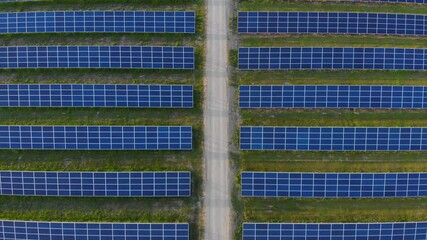 Wall Mural - Aerial view of solar farm. Rows of modern photovoltaic solar panels. Top down view. Camera rises smoothly to reveal horizon.