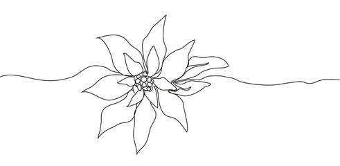 Wall Mural - Continuous one line drawing. Concept  holiday, poinsettia flower isolated on white background. hand-drawn,  close-up. modern design. for print, banner, card, paper, poster. vector illustration