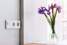 White European Electrical Outlets And Switch On Gray Wall In Light Modern Kitchen With Bouquet Of Purple Irises In Glass Vase By The Window