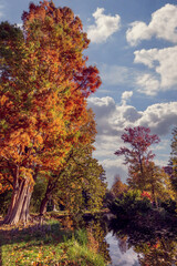 Wall Mural - Fall foliage in France. Autumnal colors landscape, reflections in a pond
